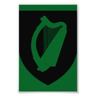 Foto Brasão de armas da Irlanda