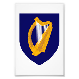 Foto Brasão de armas da Irlanda símbolo emblema lira 