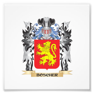 Foto Brasão de Boscher - crista da família