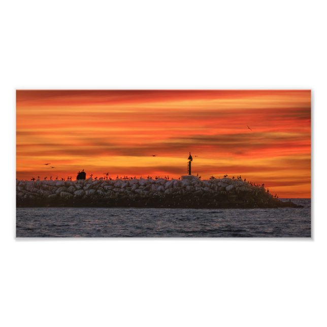 Foto Breakwall with Pelicans - Marina Del Rey, CA (Frente)