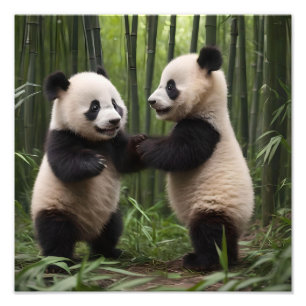 Foto Brincadeiras: Bebês Pandas Brincam na Floresta,