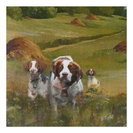 Foto Brittany Spaniel