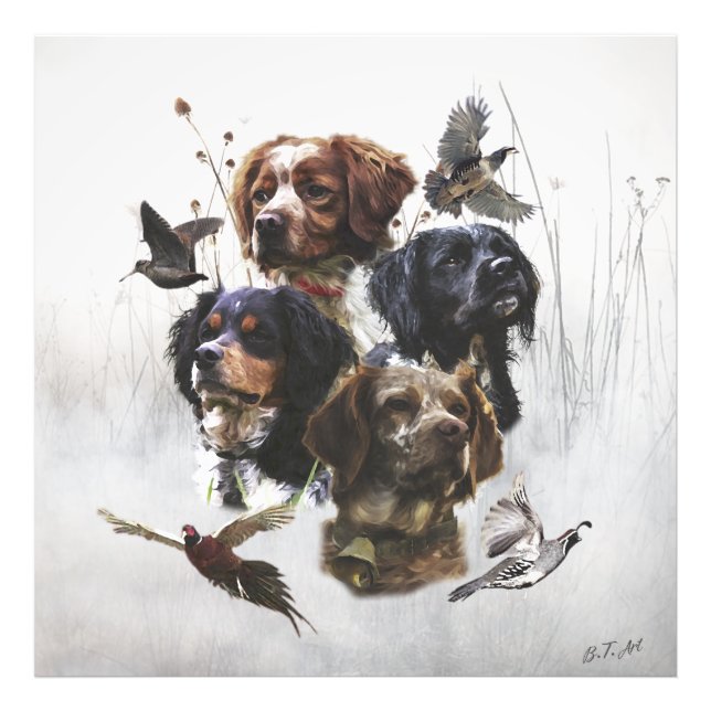Foto Brittany Spaniels , Estação de Caça de Pássaros (Frente)