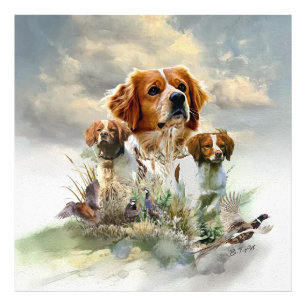 Foto Brittany Spaniels, French Brittany, Bird dog