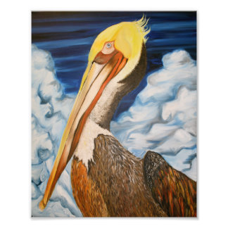 Foto Brown Pelican