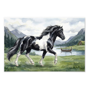 Foto Brunskjottur Black pinto islandês