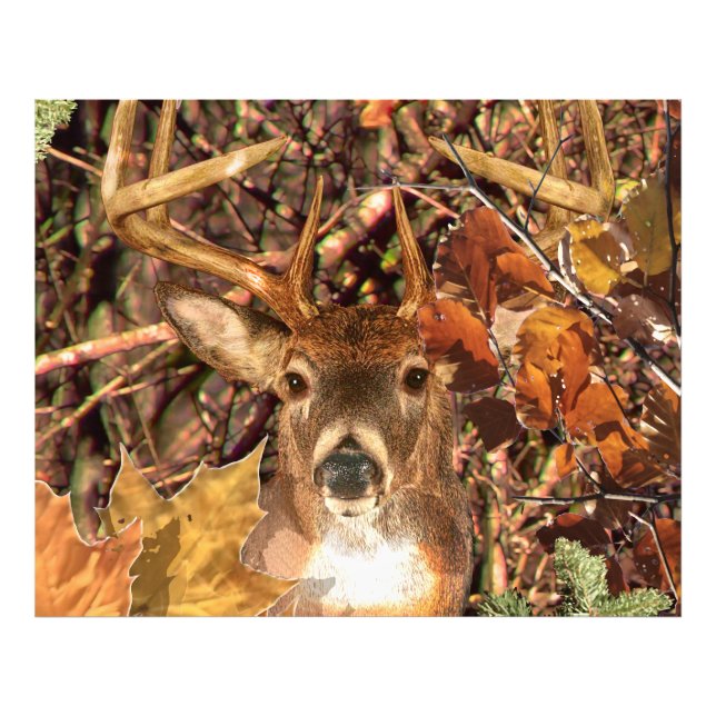 Foto Buck em Camouflage White Tail Deer (Frente)
