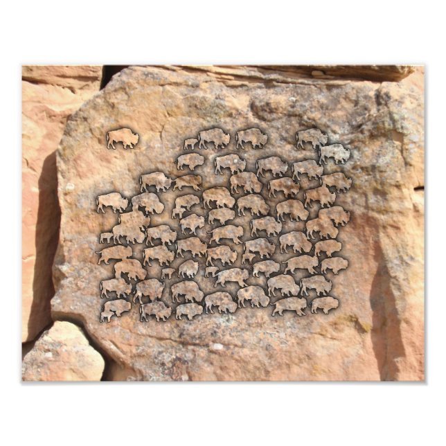 Foto Buffalo (Frente)