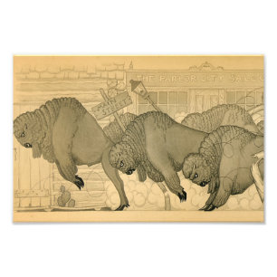 Foto Buffalo Stampede, Savage Iowa, 1923 por Grant Wood