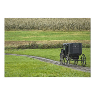 Foto Bugue amish em estrada rural, Nordeste de Ohio,