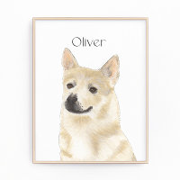 Buhund Norueguês Personalizado