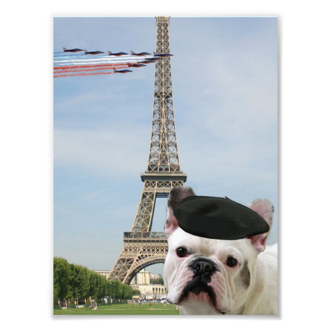 Foto Buldogue francês em Paris (Frente)