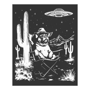 Foto Buldogue francês UFO