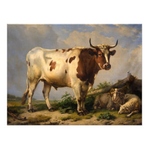 Foto Bull de Eugene Joseph Verboeckhoven