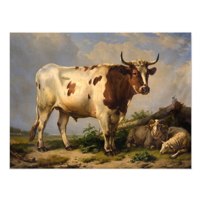 Foto Bull de Eugene Joseph Verboeckhoven (Frente)