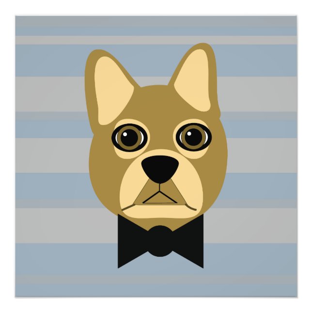 Foto Bulldog Francês Castanho, Stripes (Frente)