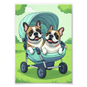 Foto Bulldogue Francês Cão Bulldogue Francês Gêmeos