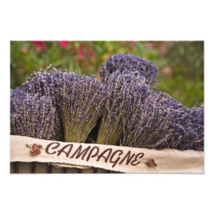 Foto Bunches de lavandas para venda, Vence, Provence,
