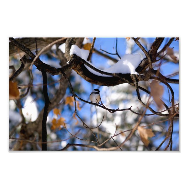 Foto burb no tuite (Frente)