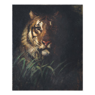 Foto Cabeça de Tigre por Abbott Handerson Thayer