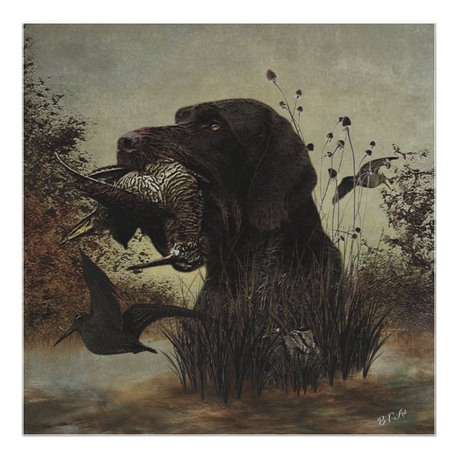 Foto Caça a Woodcock com Ponteiro Alemão Cabeado (Frente)