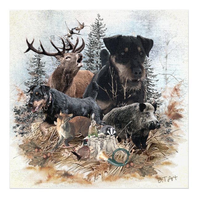 Foto Caça alemã Terrier (Jagdterrier) (Frente)