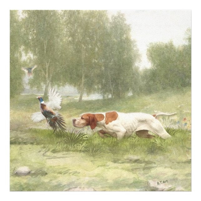 Foto Caça de faisão com ponteiro (Frente)