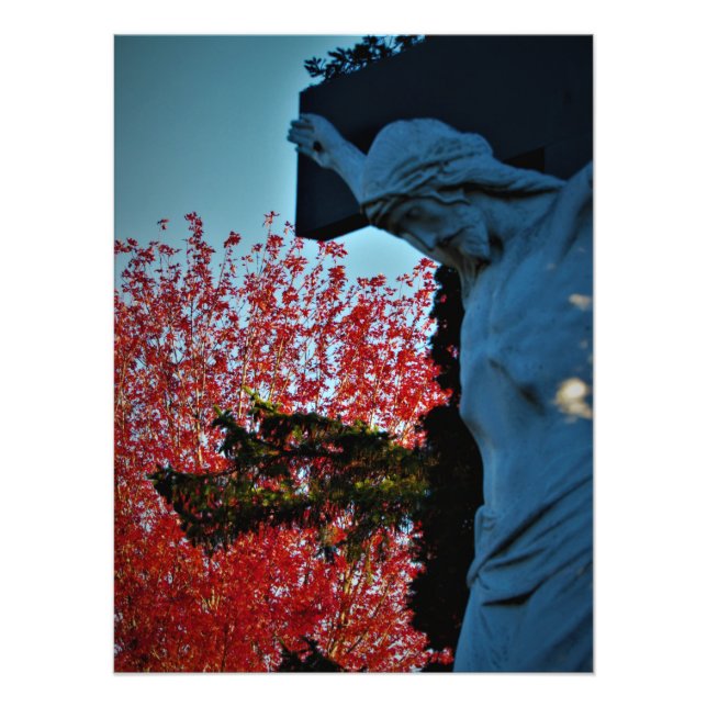 Foto "Caça do Céu" (Frente)