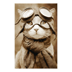 Foto Cachecol Gato Óculos Vintage Estampa Retro
