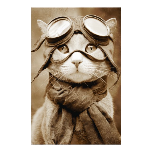 Foto Cachecol Gato Óculos Vintage Estampa Retro (Frente)