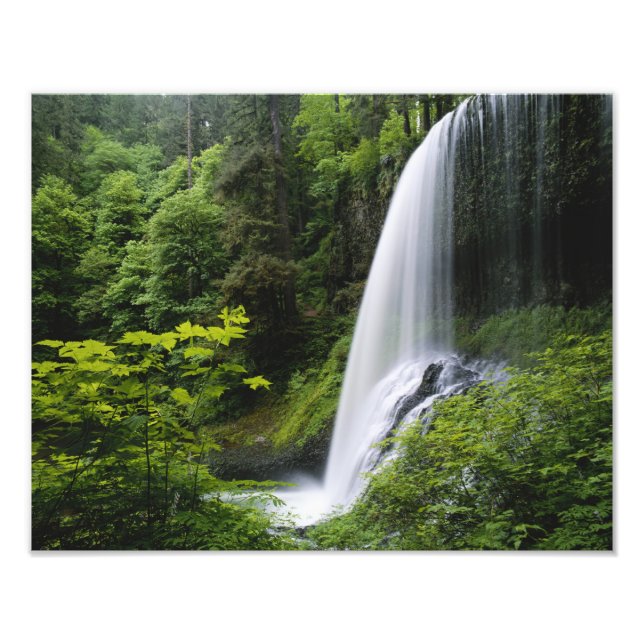 Foto Cachoeira Middle North, Parque Estadual Silver Fal (Frente)