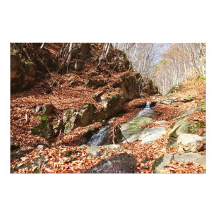 Foto Cachoeira na Montanha - Natureza Selvagem Romênia