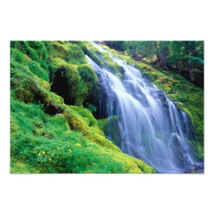 Foto Cachoeira Proxy nas Cascatas centrais de Oregon.