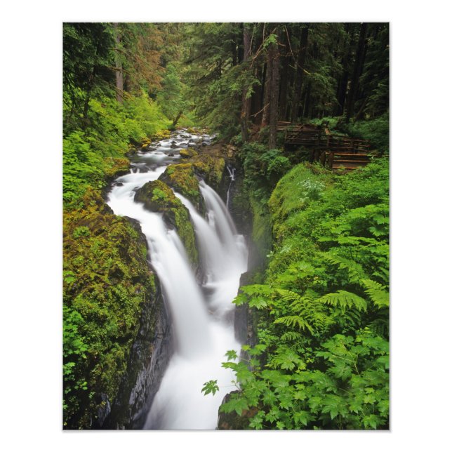 Foto Cachoeira Sol Duc no Parque Nacional Olímpico em 2 (Frente)
