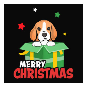 Foto Cachorro Beagle Papai Noel Amantes do Natal Feliz 