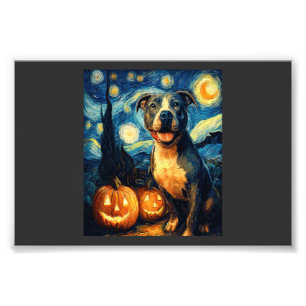 Foto Cachorro Cute American Staffordshire Terrier no Ha