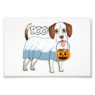 Foto Cachorro de Halloween Beagle Fantasma