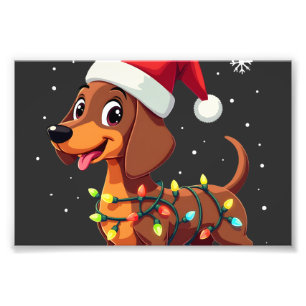 Foto Cachorro de Natal Dachshund Papai Noel Xmas Wiener
