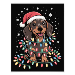 Foto Cachorro de Natal Dachshund Papai Noel Xmas Wiener