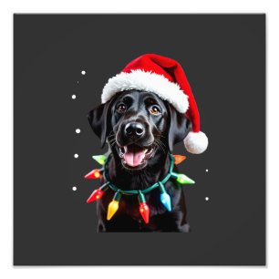 Foto Cachorro de pijama com luz de árvore de Natal Labr