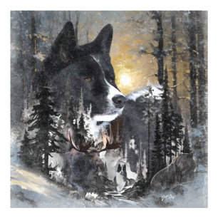 Foto Cachorro de Urso Karelian