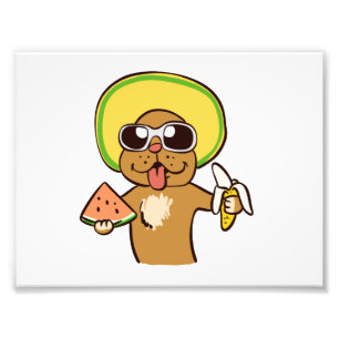 Foto Cachorro de Verão com frutas   escolher a cor de f