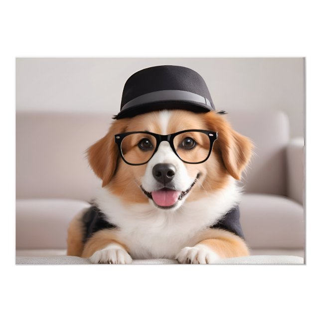 Foto Cachorro engraçado com óculos e chapéu (Frente)