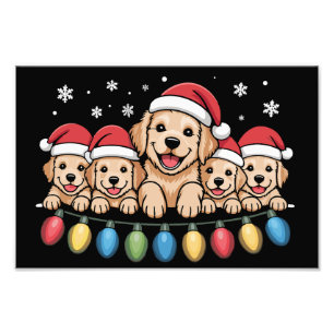 Foto Cachorro engraçado do retriever dourado do Natal