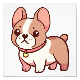 Foto Cachorro francês fofo