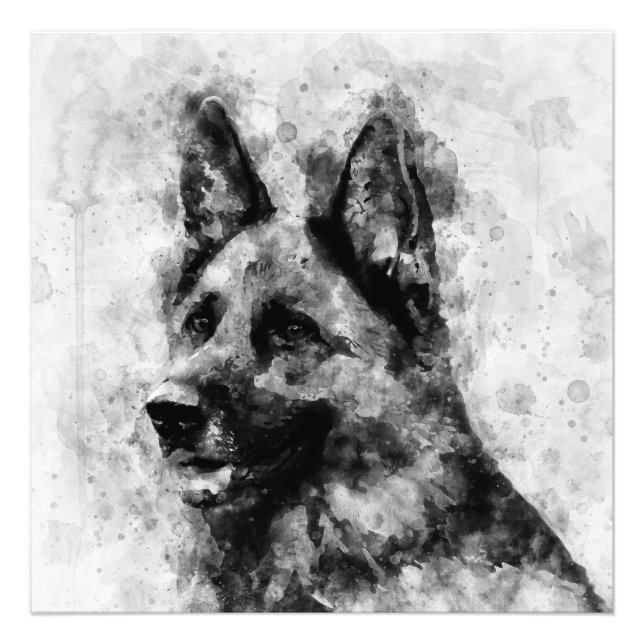 Foto Cachorro german shepherd Preto e Branco Aquarela (Frente)