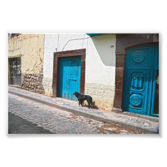 Foto Cachorro Negro em Cusco, Peru (Frente)