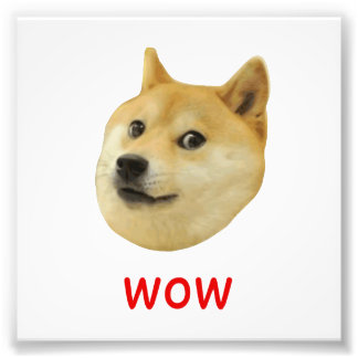 Foto Cachorro Que Shiba Shibe Inu