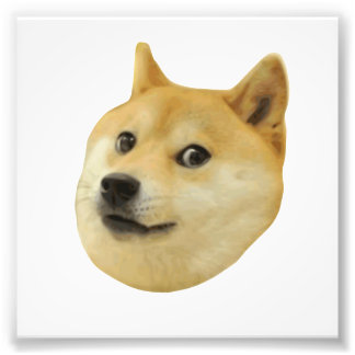 Foto Cachorro Que Shiba Shibe Inu