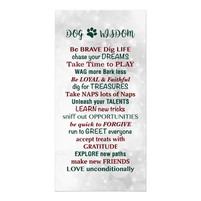 Foto Cachorro Sabedoria (Frente)